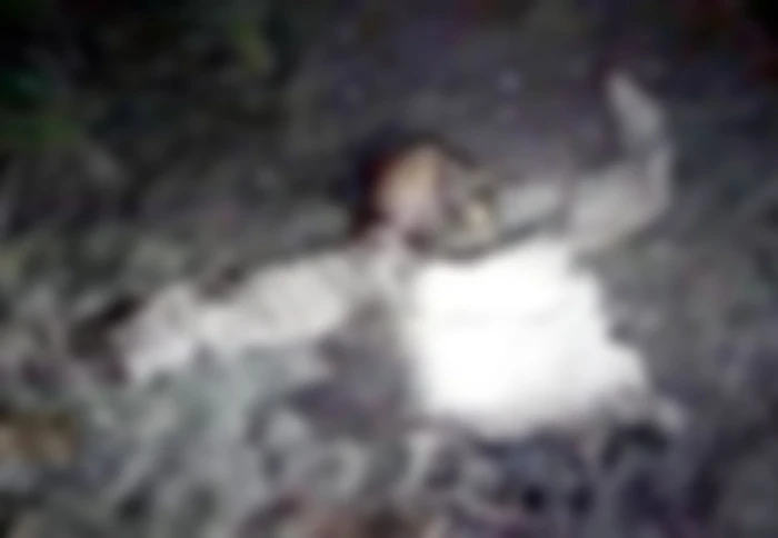 ফরিদপুরের ধানক্ষেতে পড়েছিল মানুষের কঙ্কাল, পদ্মার চরে রহস্য